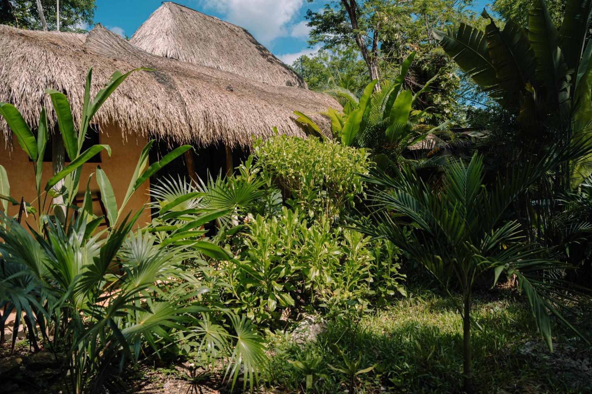 Aldea Coba An Escape Boutique Experience Hotel Szoba fotó